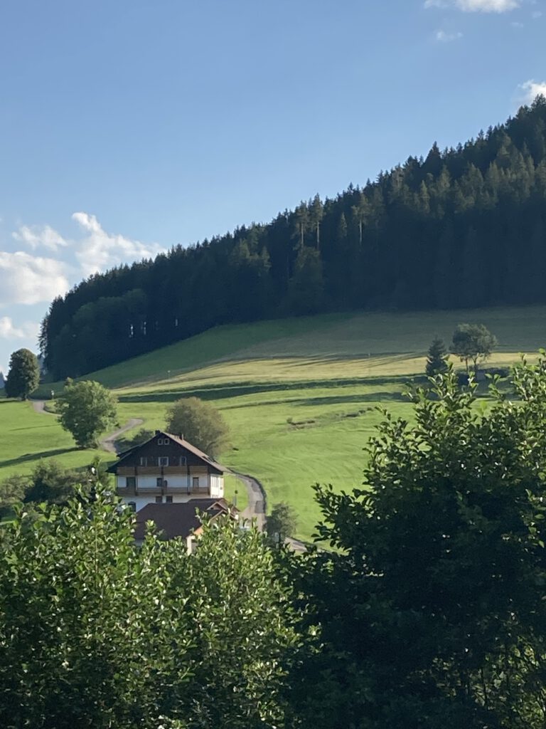 Balkon – Aussicht